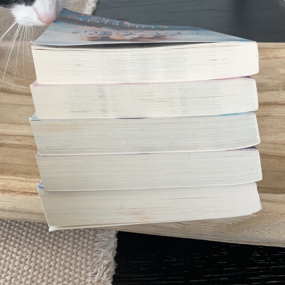 The Lost & Found Series by Catherine Cowles - Picture 10 of 14